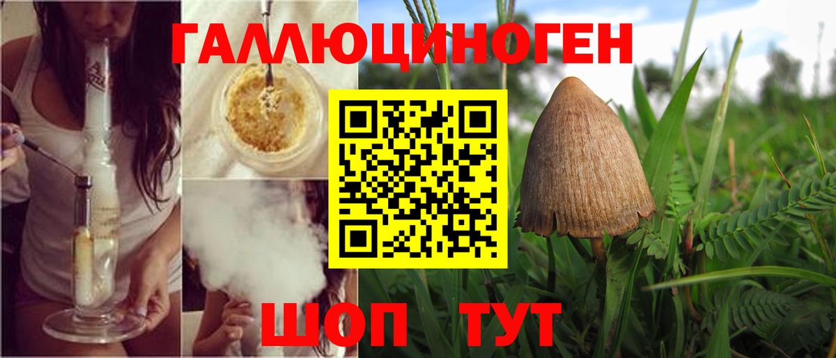 Галлюциногенные грибы мухоморы  Вход с VPN  Альметьевск 